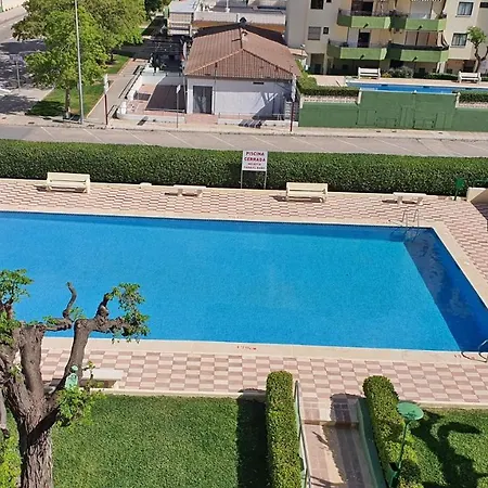 Gardenias Gandia - Alquiler Familias *